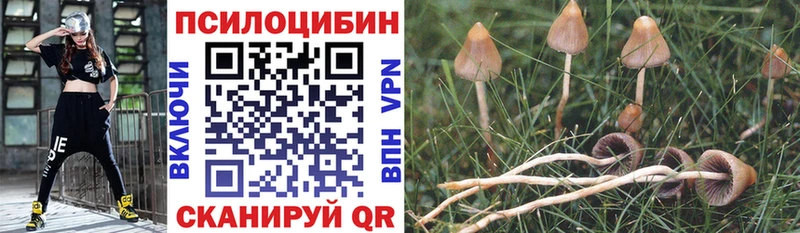 Псилоцибиновые грибы Psilocybe  Котово 